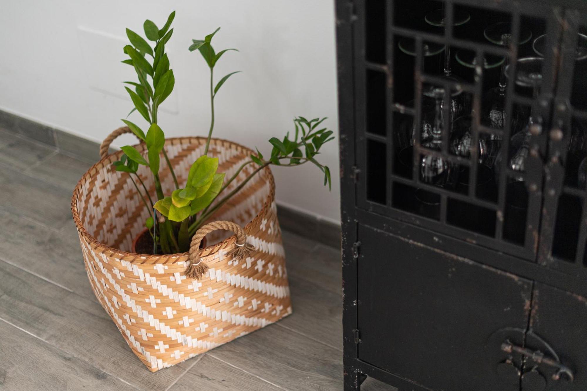 City, Sun And Living Appartement Las Palmas de Gran Canaria